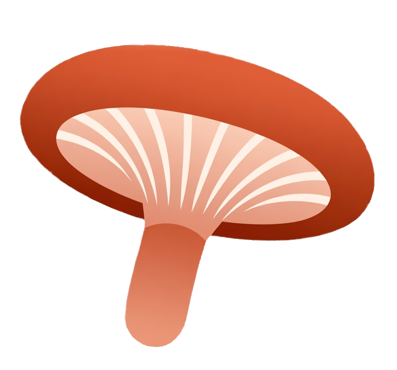 Navigation bar avatar